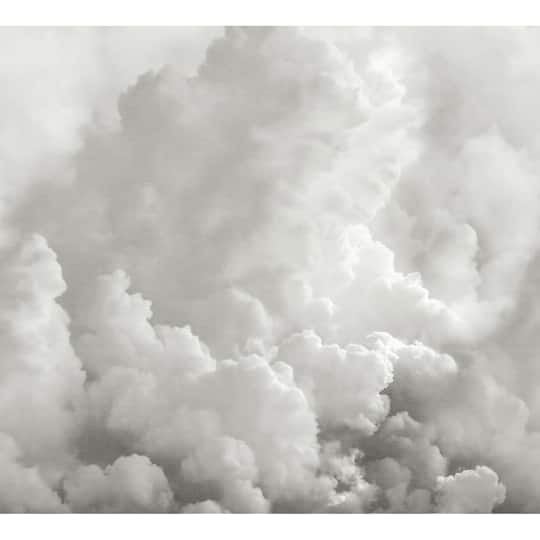 Katie Hunt Dove Gray In the Clouds Wall Mural